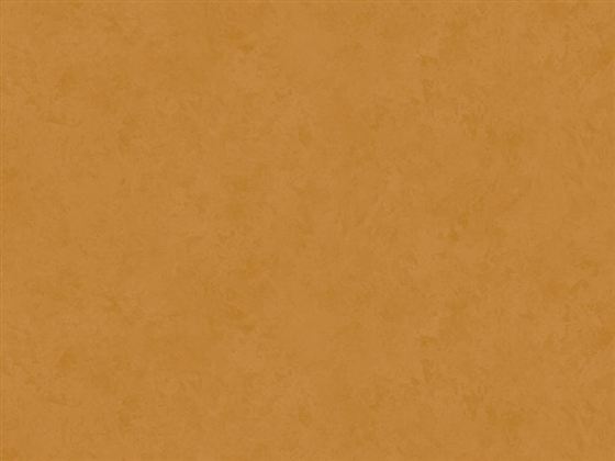 Phonipro LEAH 34333M orange rengi