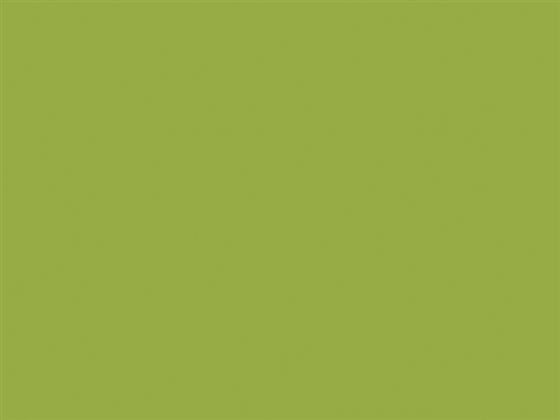 Phonipro SOL D 35524M lime green rengi