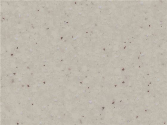 Techno GLOR A 69110S light beige rengi