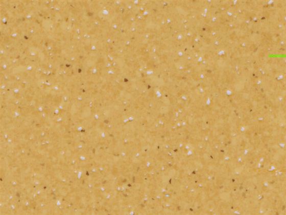 Techno GLOR A 69260M yellow rengi