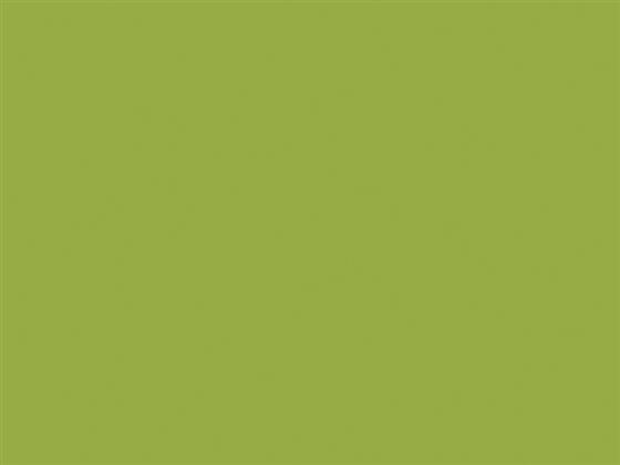Techno SOL D 68524M lime green rengi